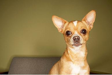 《彩六围攻》支持DLSS2.2 其DLL文件可用于其他游戏改善画质